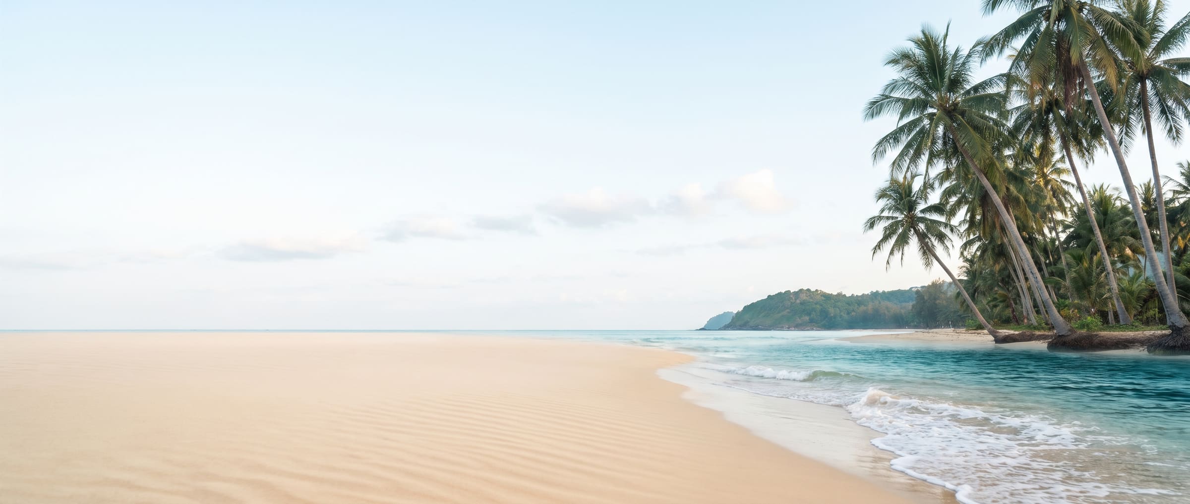 Calm tropical beach at morning with palm trees leaning over turquoise water